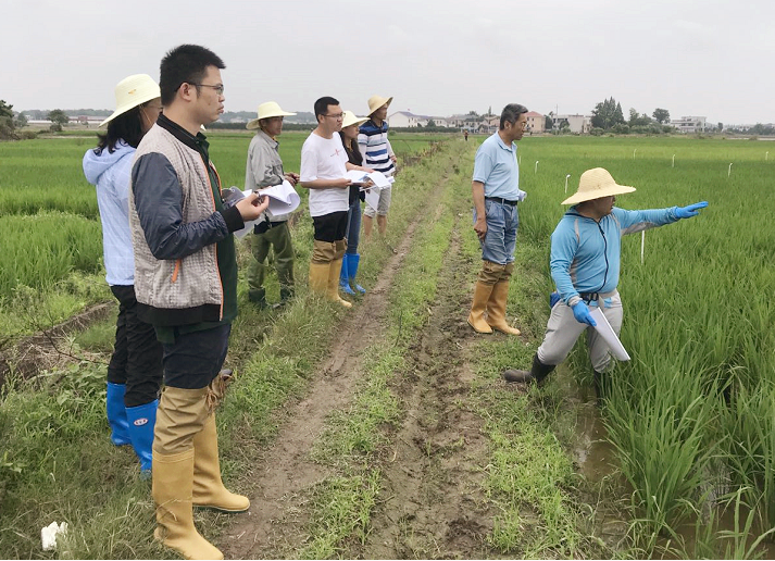 ���Ź��ʹ�����������������Ʒӭ���������ִ�