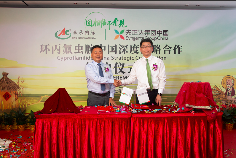 �����Ŷ����� �������Ź��ʹ���������������ֲ��ǩ�����������氷�й����ս��������̸��